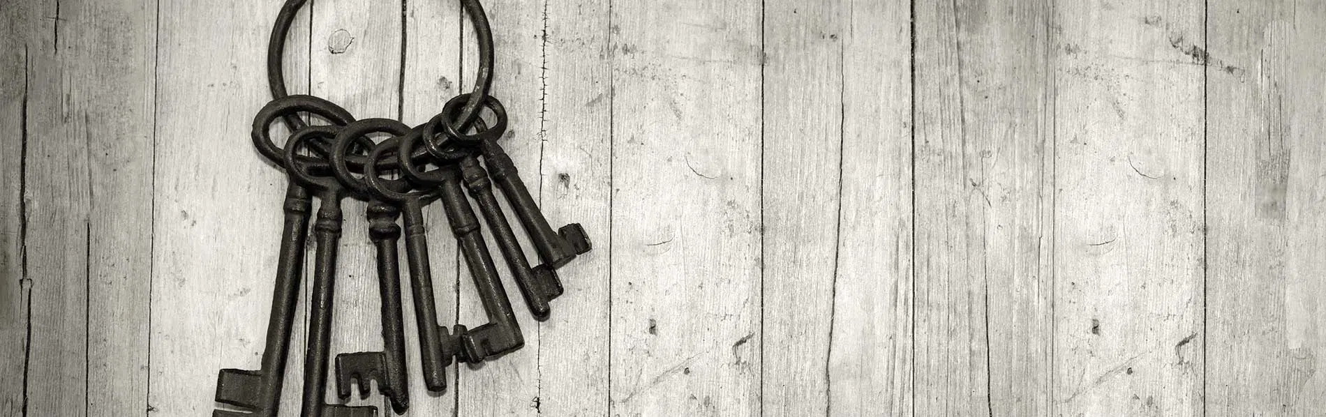 #bslide2 logo-image - banner-2